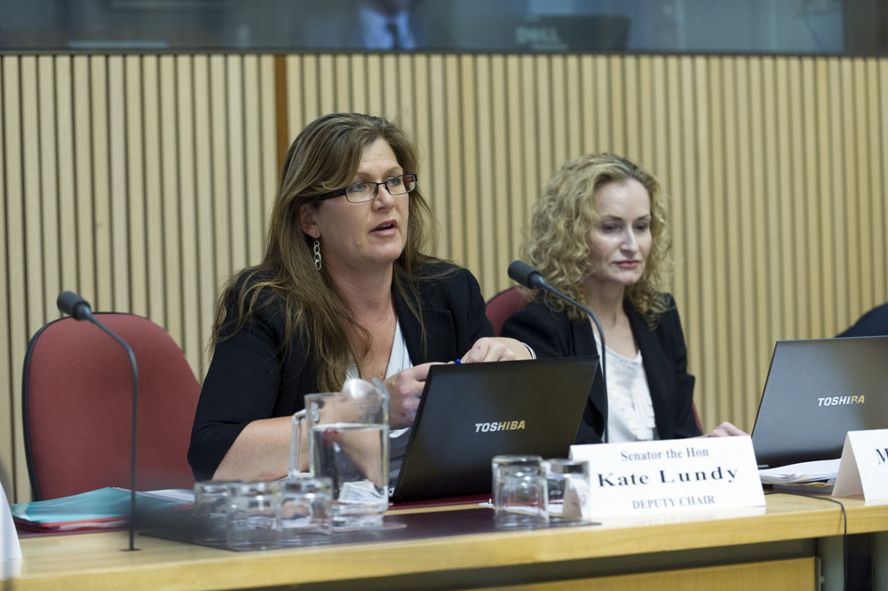 Finance and Public Administration Legislation Committee deputy chair Senator Kate Lundy (left) questioning witnesses, 20 November 2014. DPS Auspic.