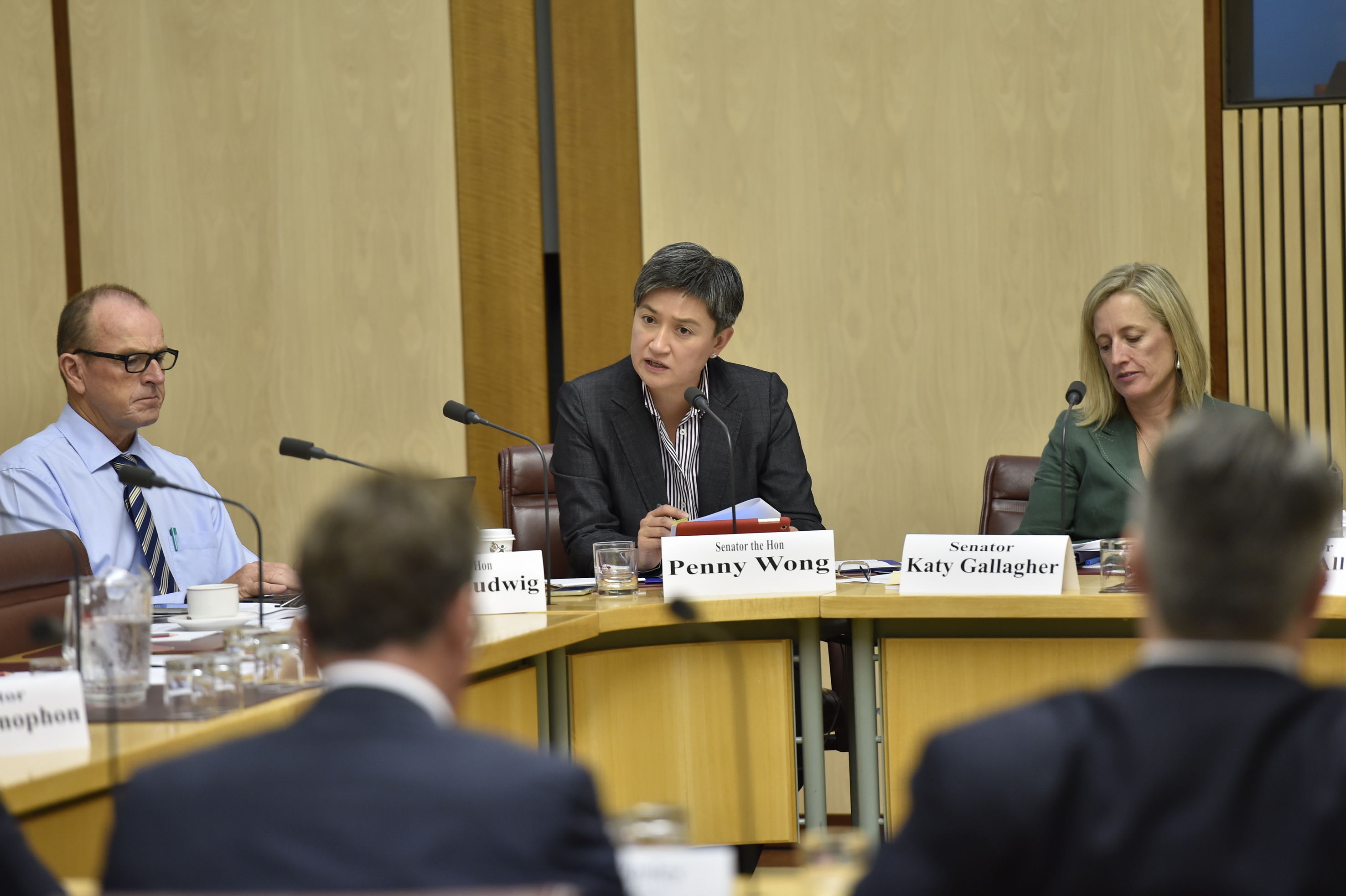 \x3cp\x3eCommittee members (from left) Senators Joe Ludwig, Penny Wong and Katy Gallagher questioning witnesses during the hearing, 9 February 2016. DPS Auspic.\x3c/p\x3e