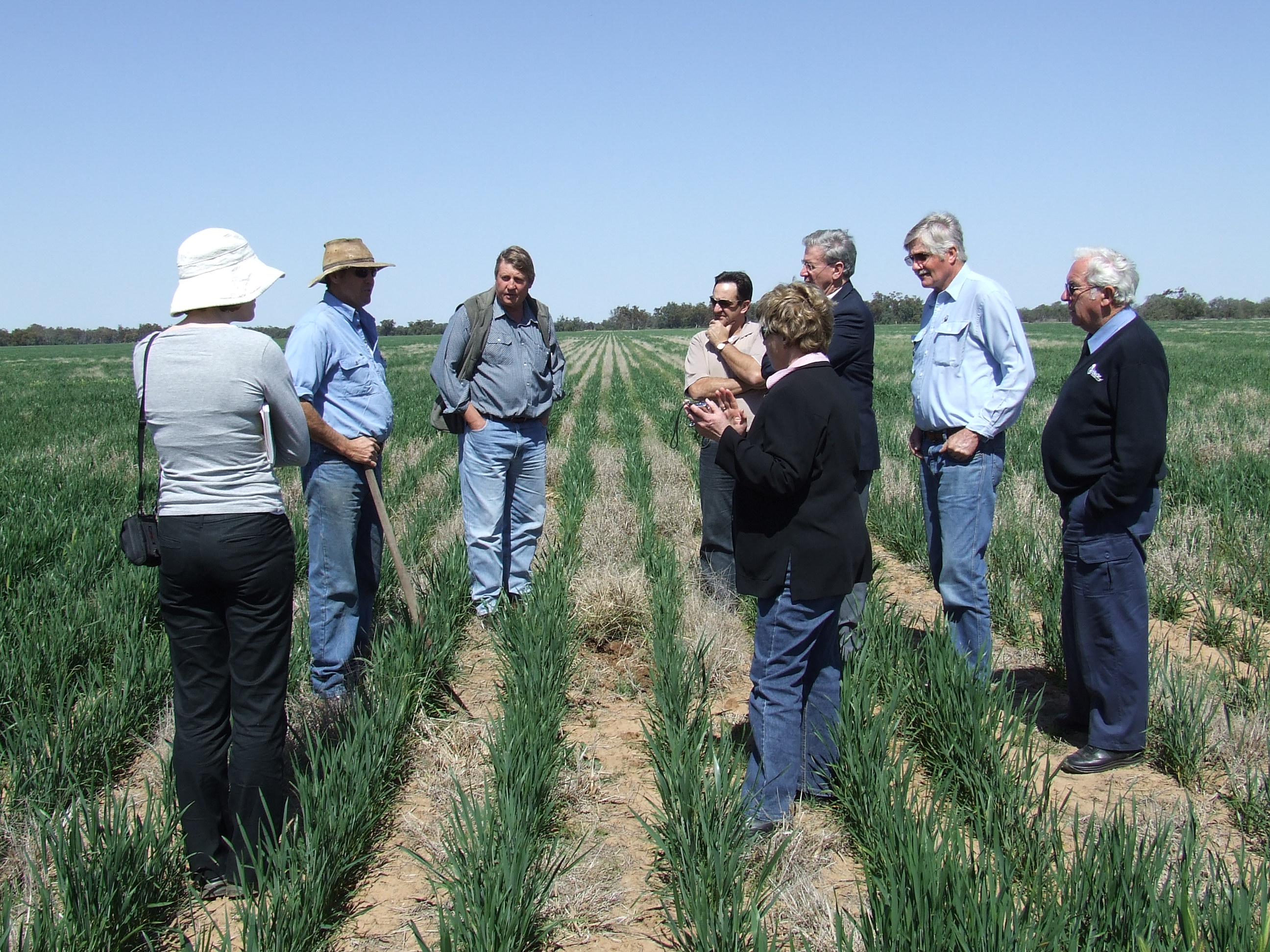 \x3cp\x3eCommittee members and officers from the Warren Shire Council on a site visit inspecting Scott and Jo McCalman\'s property, \'Jedburgh\', to see the work being done there in conjunction with the Australian Soil Carbon Accreditation Scheme, using perennial groundcover to improve wheat field soil, 12 September 2008. L-R: Ann Palmer [Principal Research Officer], Scott McCalman, Ashley Wielinga [General Manager, Warren Shire Council], Senators Glenn Sterle, Christine Milne and Kerry O\'Brien, Councillor Rex Wilson [Mayor, Warren Shire Council] and unknown.\x3c/p\x3e