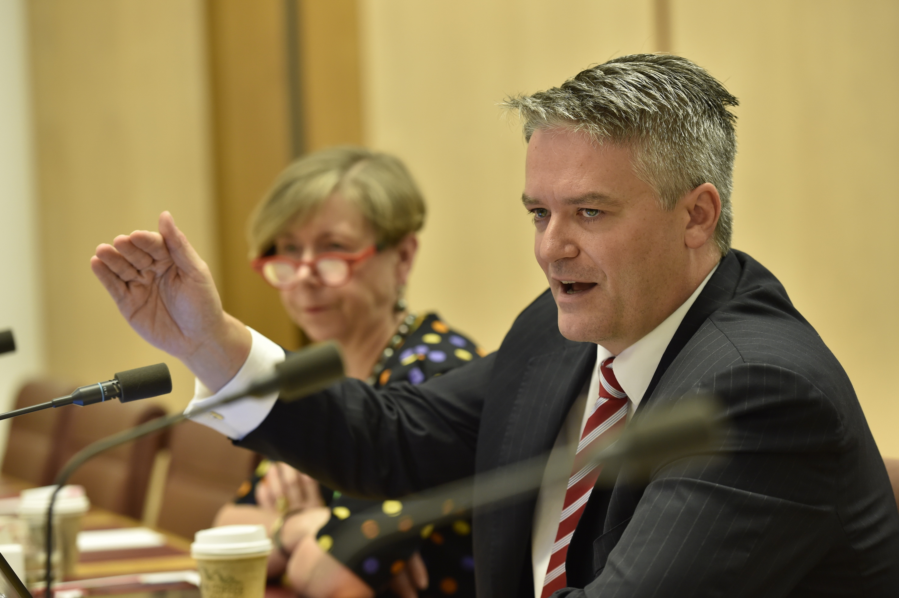 \x3cp\x3eSenator the Hon Mathias Cormann, Minister for Finance,answering questions, 9 February 2016. DPS Auspic.\x3c/p\x3e